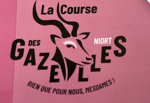 Illustration Course : Les Gazelles de Niort - 