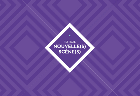 illustration de la manifestation 