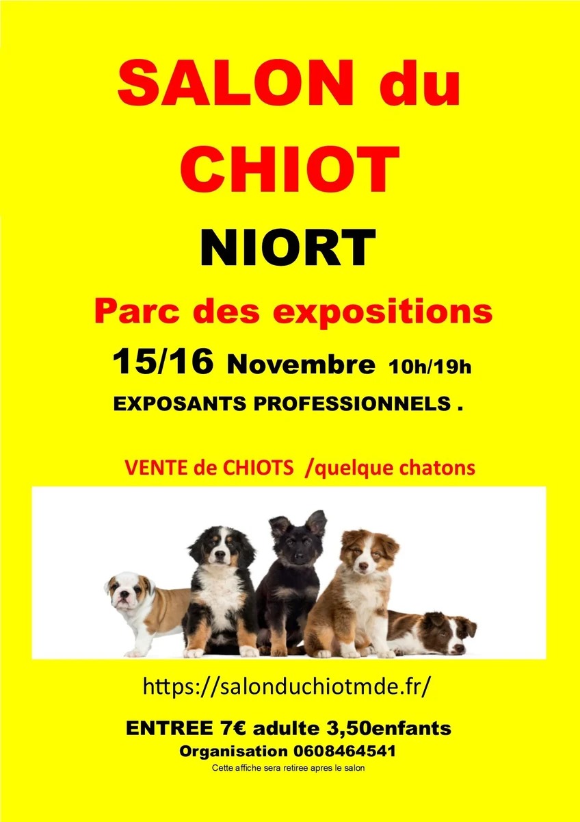 Affiche sur fond jaune avec un groupe de chiots de races variées posés cÎte à cÎte, dont un bouledogue et un berger