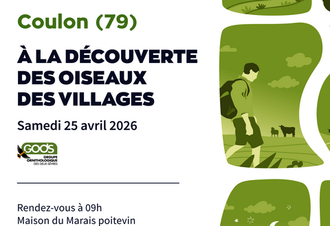 illustration de la manifestation 