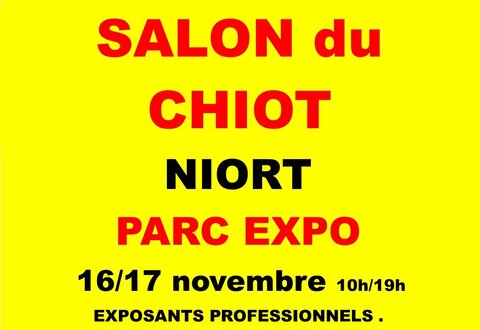 illustration de la manifestation 