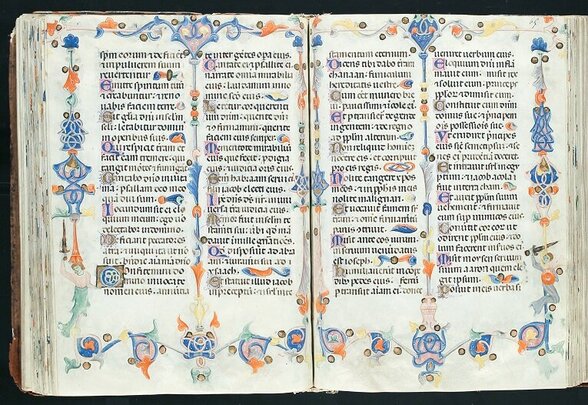 [IMAGE ALT] - Agrandir l'image, fenêtre modale