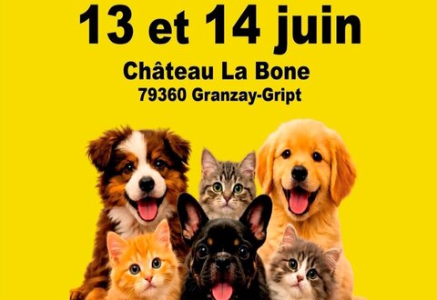 illustration de la manifestation 