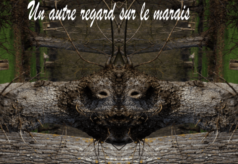 illustration de la manifestation 