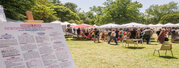 Festival A 2 bulles