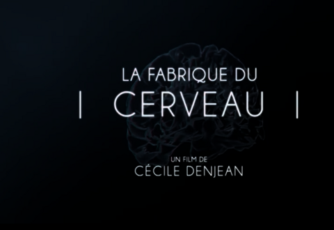 illustration de la manifestation 