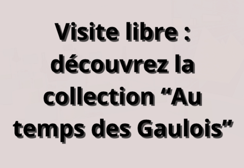 illustration de la manifestation 