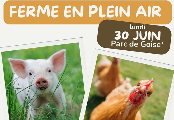  - Agrandir l'image, fenêtre modale