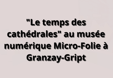 illustration de la manifestation 