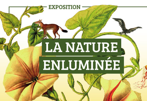 illustration de la manifestation 