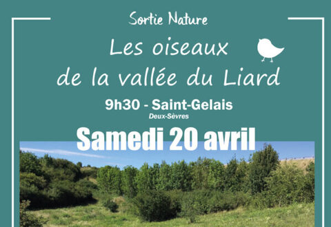 illustration de la manifestation 