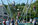 Niort Plage : Trampoline élastique