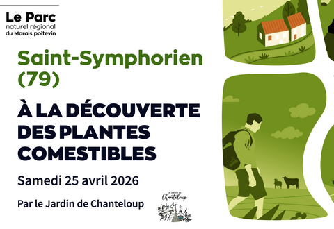 illustration de la manifestation 