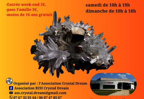 illustration de la manifestation 