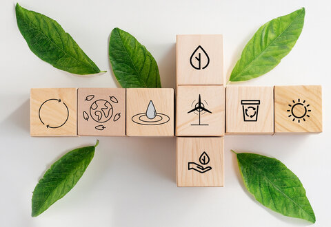 illustration de la manifestation 