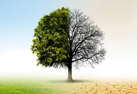 illustration de la manifestation 