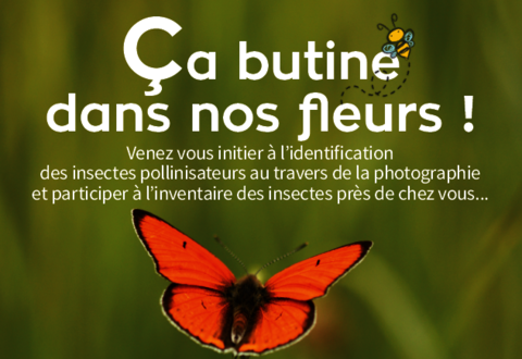 illustration de la manifestation 