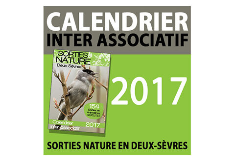 illustration de la manifestation 