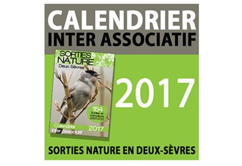 illustration de la manifestation 