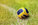 Niort Plage : Handball