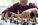 Stage échecs à Niort