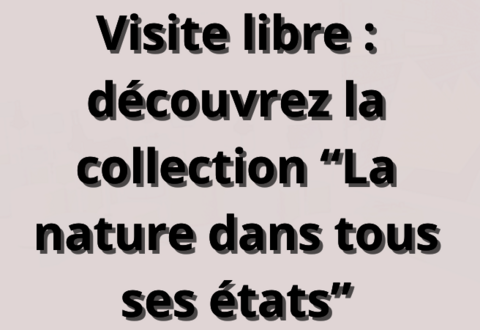 illustration de la manifestation 