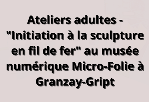illustration de la manifestation 