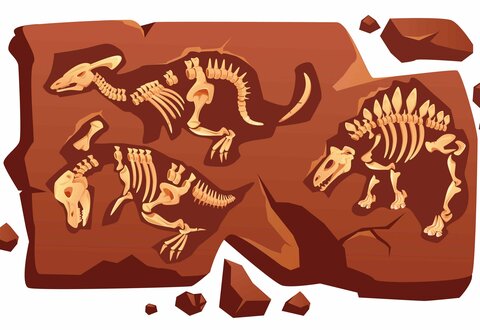 illustration de la manifestation 